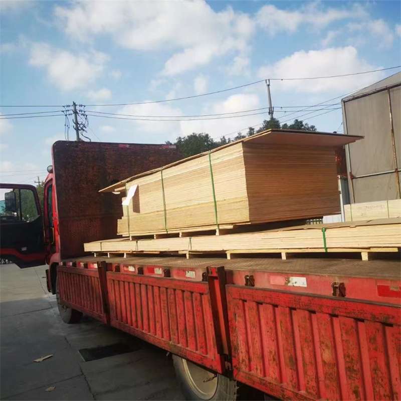 吉林通化东昌至塔城货运专线，一站式物流服务助您成功